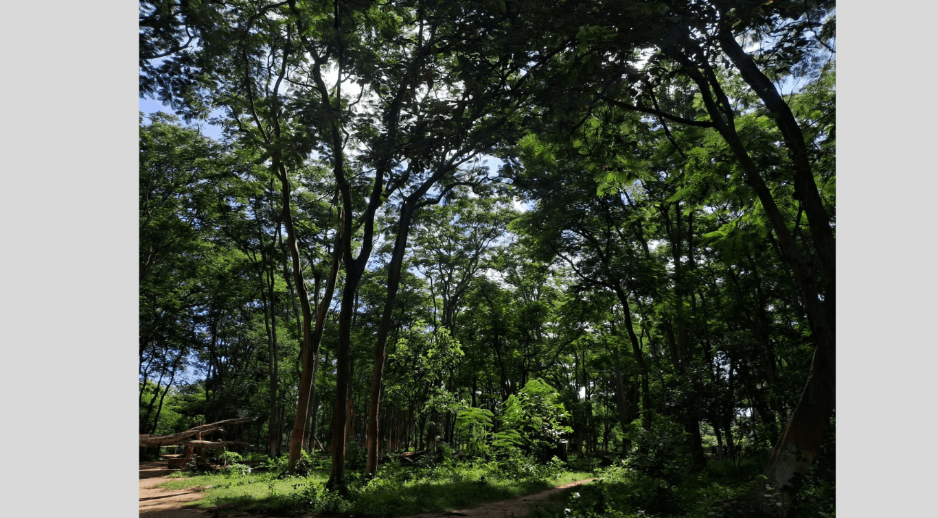 Photography by Kunal Shanker / Images