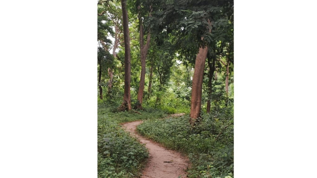 Photography by Kunal Shanker / Images